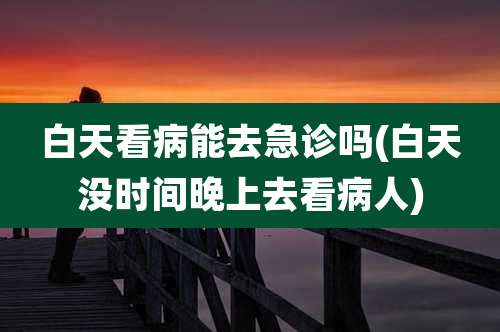 白天看病能去急诊吗(白天没时间晚上去看病人)