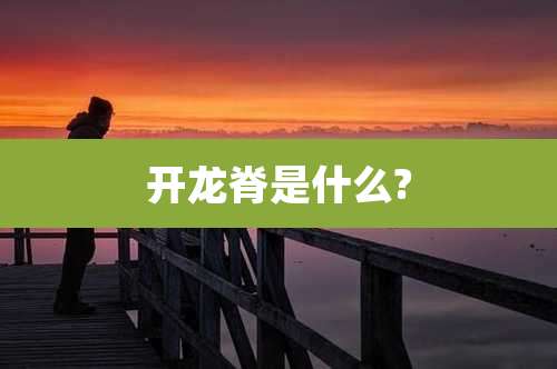 开龙脊是什么?