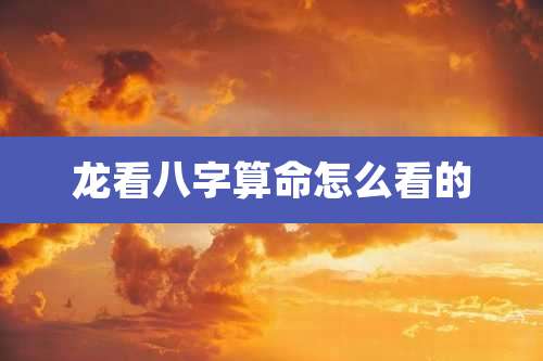 龙看八字算命怎么看的