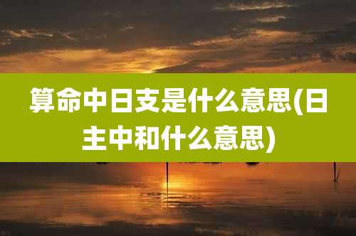 算命中日支是什么意思(日主中和什么意思)