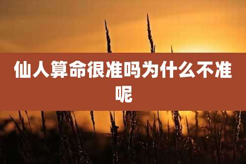 仙人算命很准吗为什么不准呢