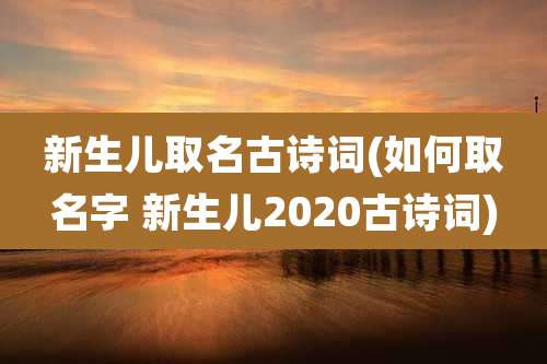 新生儿取名古诗词(如何取名字 新生儿2020古诗词)