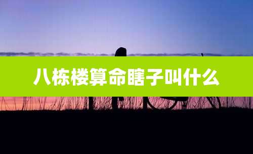 八栋楼算命瞎子叫什么