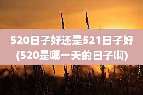 520日子好还是521日子好(520是哪一天的日子啊)