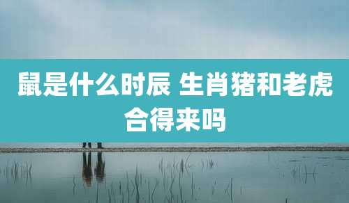 鼠是什么时辰 生肖猪和老虎合得来吗