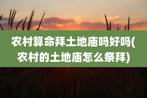 农村算命拜土地庙吗好吗(农村的土地庙怎么祭拜)