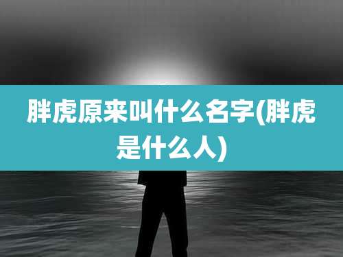 胖虎原来叫什么名字(胖虎是什么人)