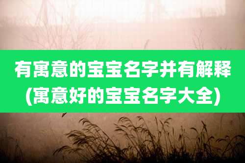 有寓意的宝宝名字并有解释(寓意好的宝宝名字大全)