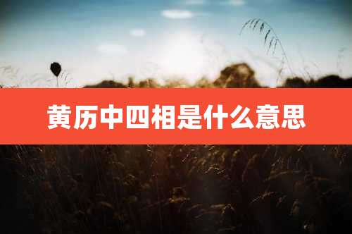 黄历中四相是什么意思