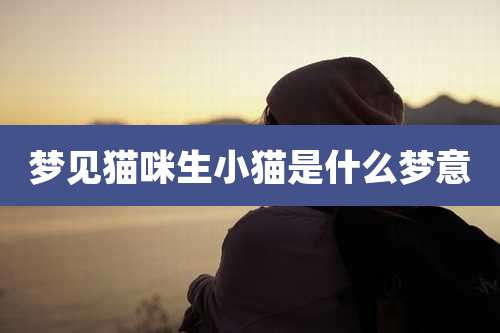梦见猫咪生小猫是什么梦意