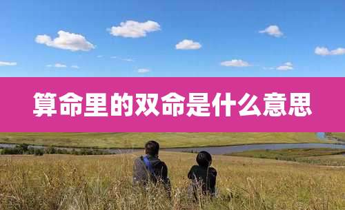 算命里的双命是什么意思