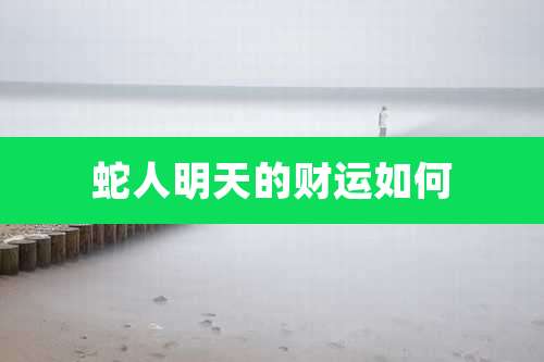蛇人明天的财运如何