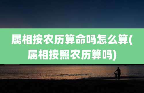 属相按农历算命吗怎么算(属相按照农历算吗)