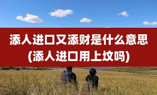 添人进口又添财是什么意思(添人进口用上坟吗)