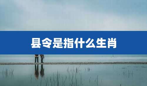 县令是指什么生肖