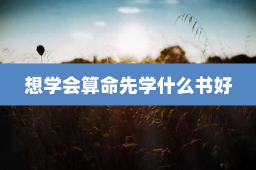 想学会算命先学什么书好