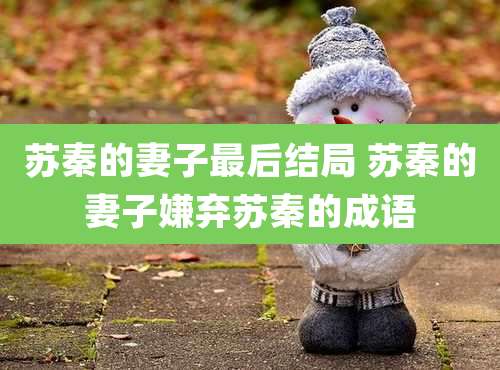 苏秦的妻子最后结局 苏秦的妻子嫌弃苏秦的成语