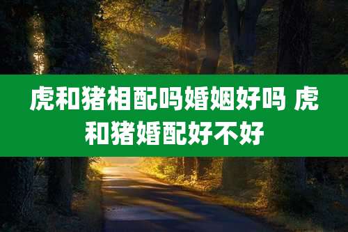 虎和猪相配吗婚姻好吗 虎和猪婚配好不好