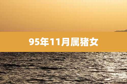 95年11月属猪女