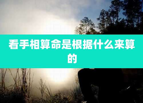 看手相算命是根据什么来算的