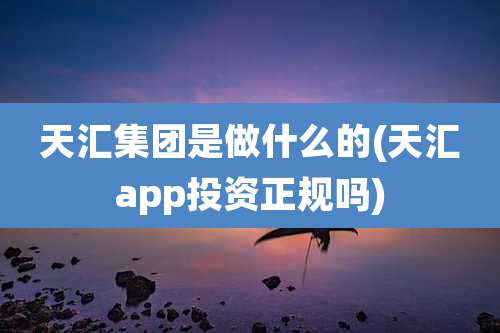 天汇集团是做什么的(天汇app投资正规吗)