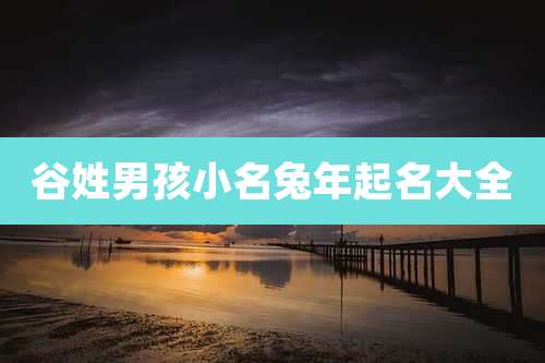 谷姓男孩小名兔年起名大全