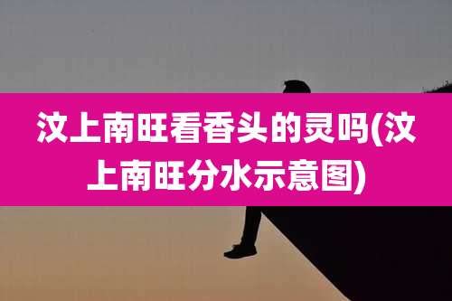 汶上南旺看香头的灵吗(汶上南旺分水示意图)
