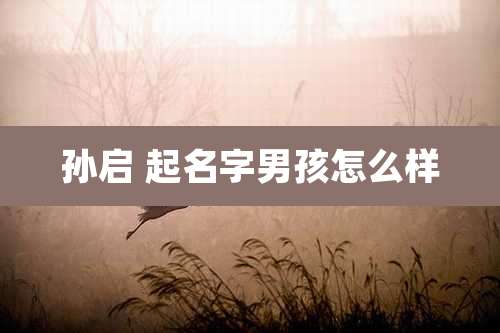 孙启 起名字男孩怎么样