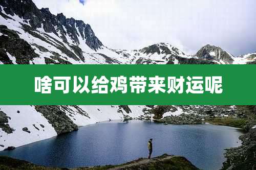 啥可以给鸡带来财运呢