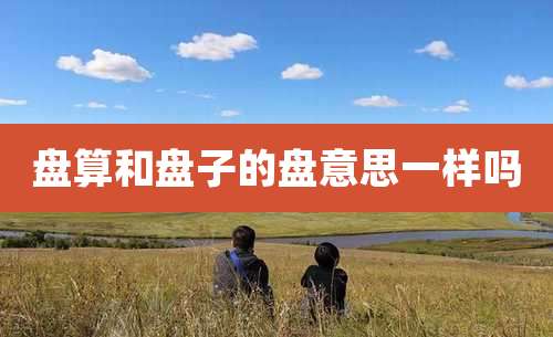 盘算和盘子的盘意思一样吗