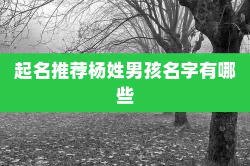 起名推荐杨姓男孩名字有哪些