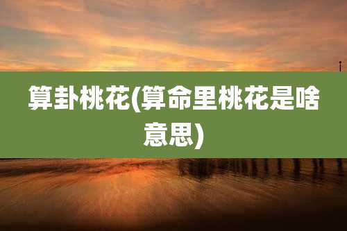 算卦桃花(算命里桃花是啥意思)