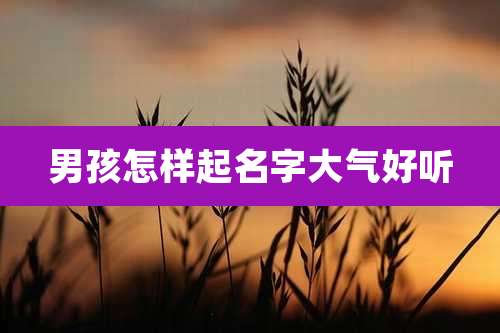 男孩怎样起名字大气好听