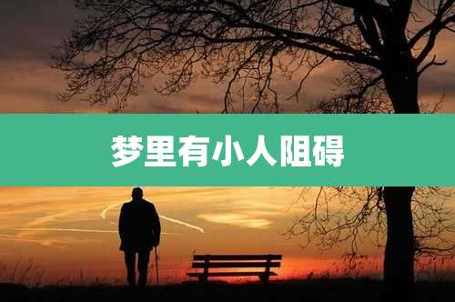 梦里有小人阻碍