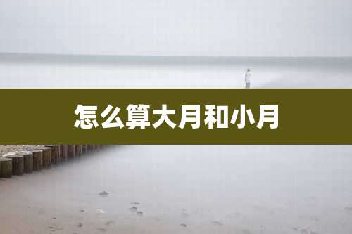 怎么算大月和小月