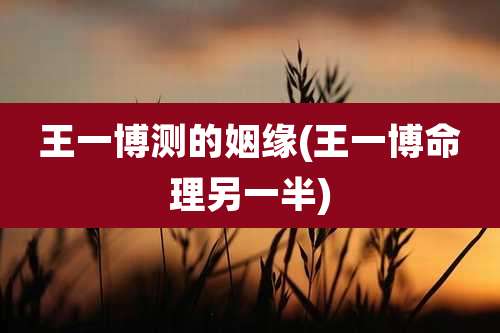 王一博测的姻缘(王一博命理另一半)