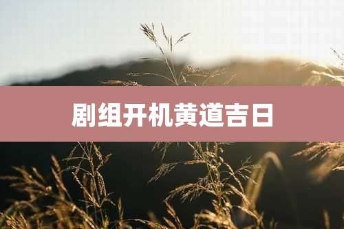 剧组开机黄道吉日