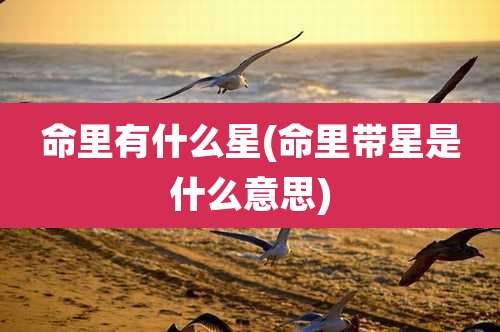 命里有什么星(命里带星是什么意思)