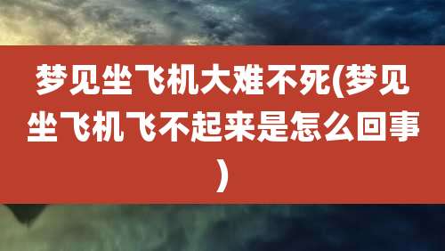 梦见坐飞机大难不死(梦见坐飞机飞不起来是怎么回事)