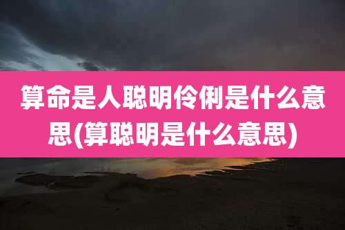 算命是人聪明伶俐是什么意思(算聪明是什么意思)