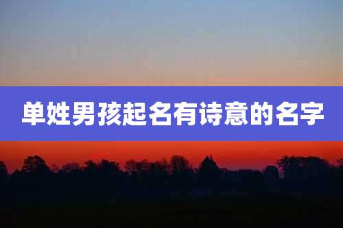 单姓男孩起名有诗意的名字