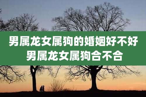 男属龙女属狗的婚姻好不好 男属龙女属狗合不合