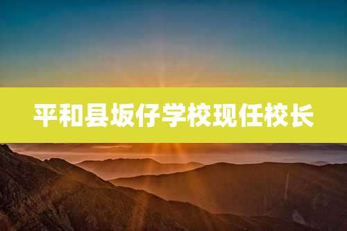 平和县坂仔学校现任校长