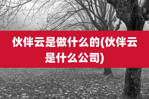 伙伴云是做什么的(伙伴云是什么公司)