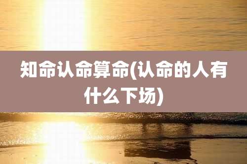 知命认命算命(认命的人有什么下场)