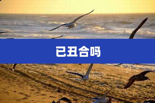 已丑合吗