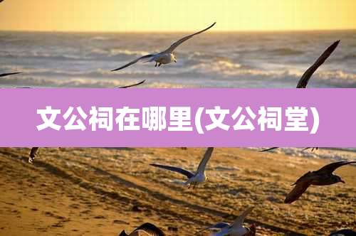 文公祠在哪里(文公祠堂)
