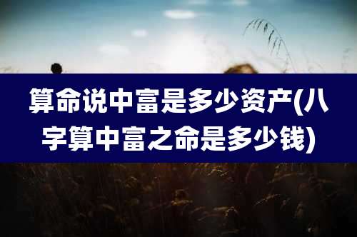算命说中富是多少资产(八字算中富之命是多少钱)