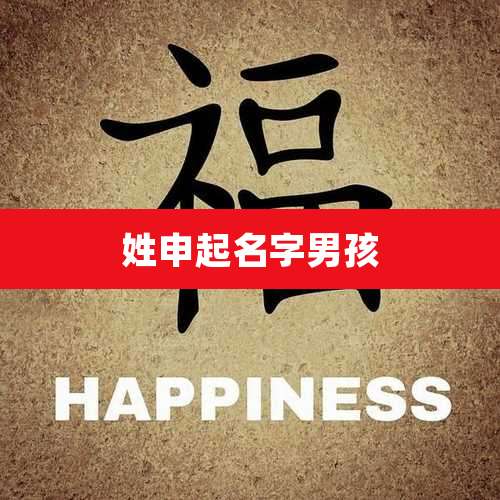 姓申起名字男孩