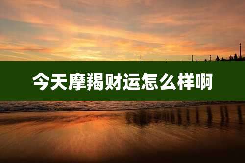 今天摩羯财运怎么样啊